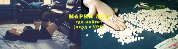 PSILOCYBIN Майский