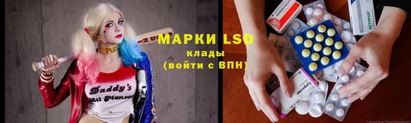сатива Магас