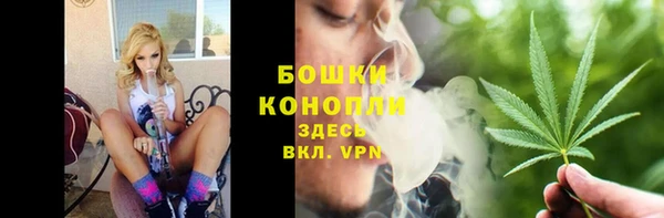 сатива Магас