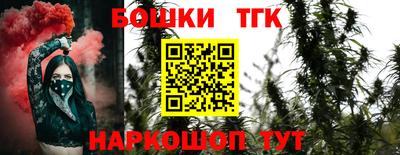 индика Гагарин