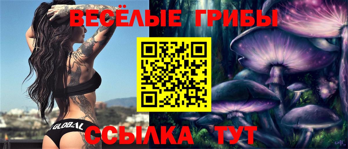 Галлюциногенные грибы GOLDEN TEACHER  Вход с VPN  Набережные Челны  Псилоцибиновые грибы мицелий 