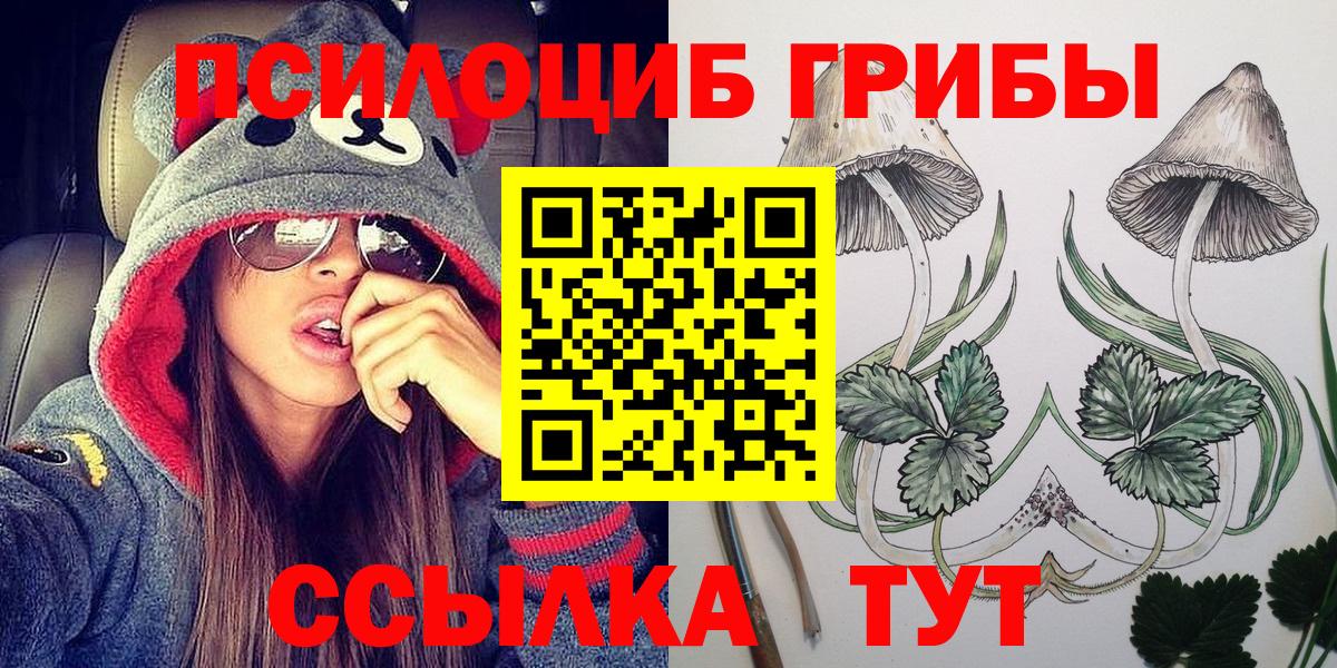 Псилоцибиновые грибы Cubensis  Набережные Челны 